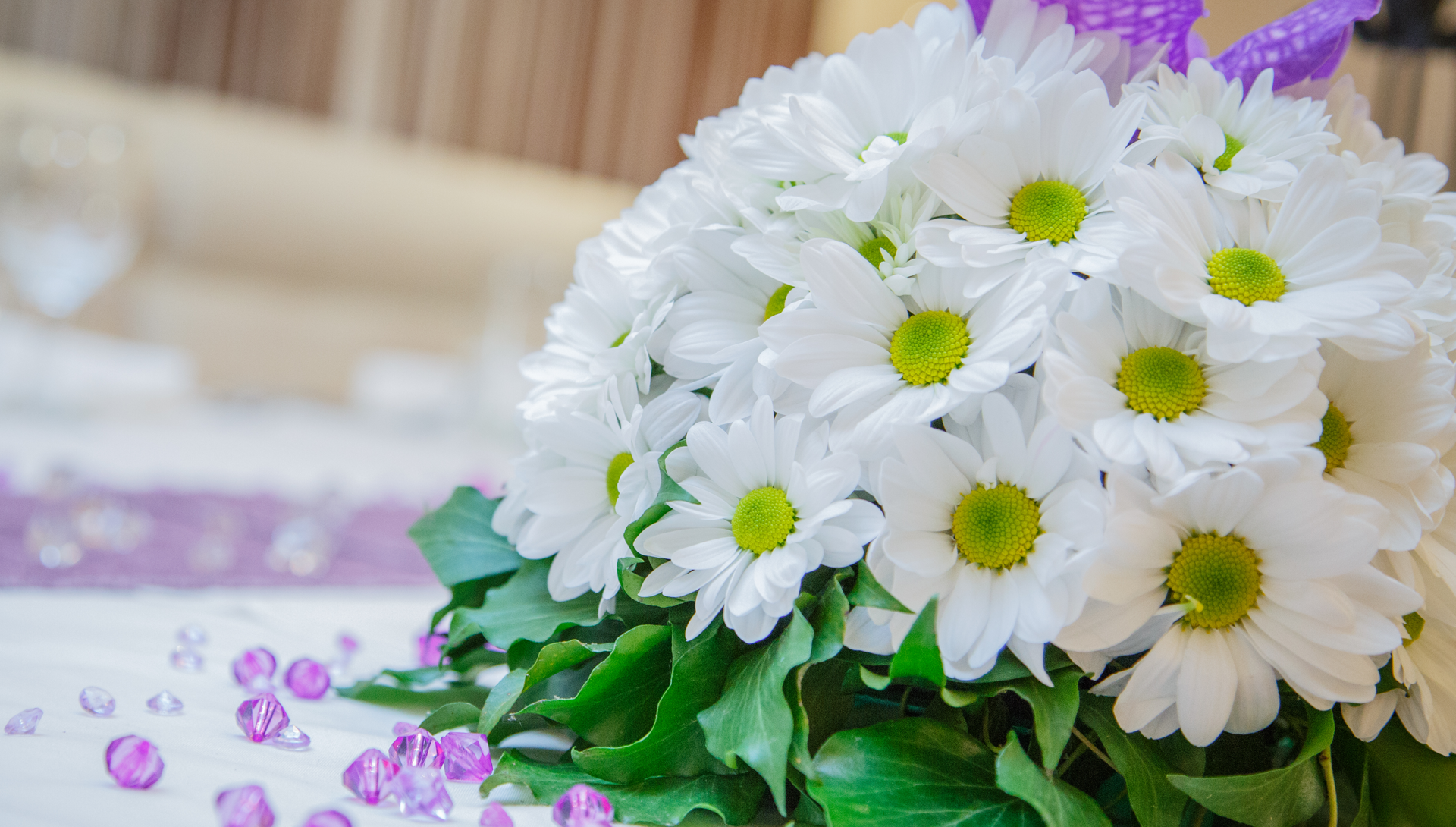 Romanov - pozadina 2