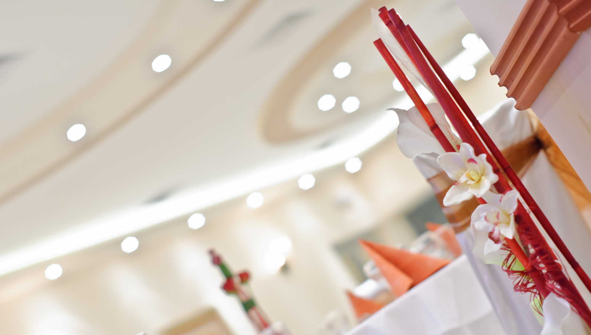 Romanov - pozadina 3